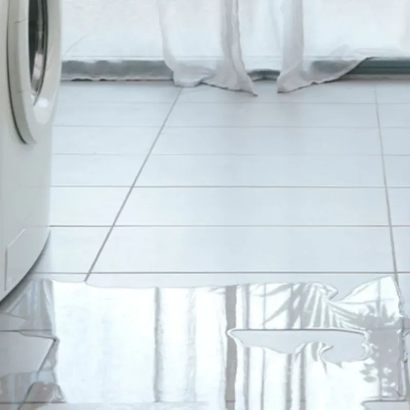 Appliance Leak Cleanup in Polk County, WI