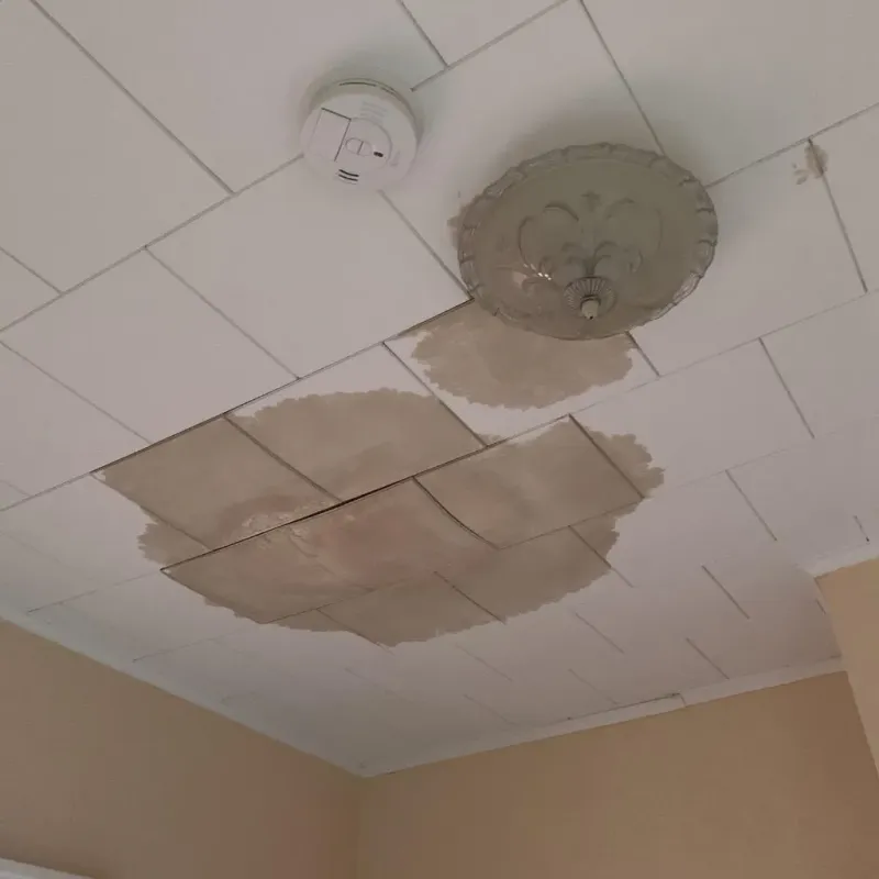 Ceiling Water Damage Repair in Polk County, WI