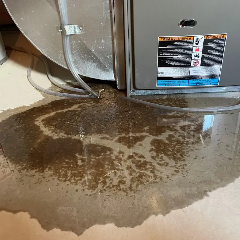 Pipe Burst and Leak Restoration in Polk County, WI