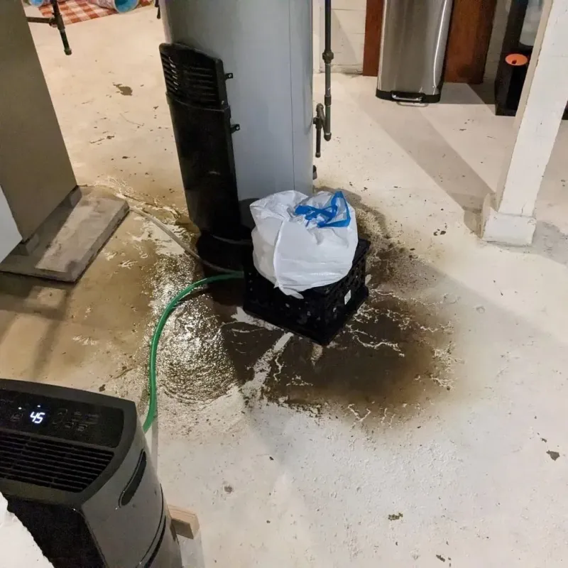 Sewage Backup Cleanup Service in Polk County, WI